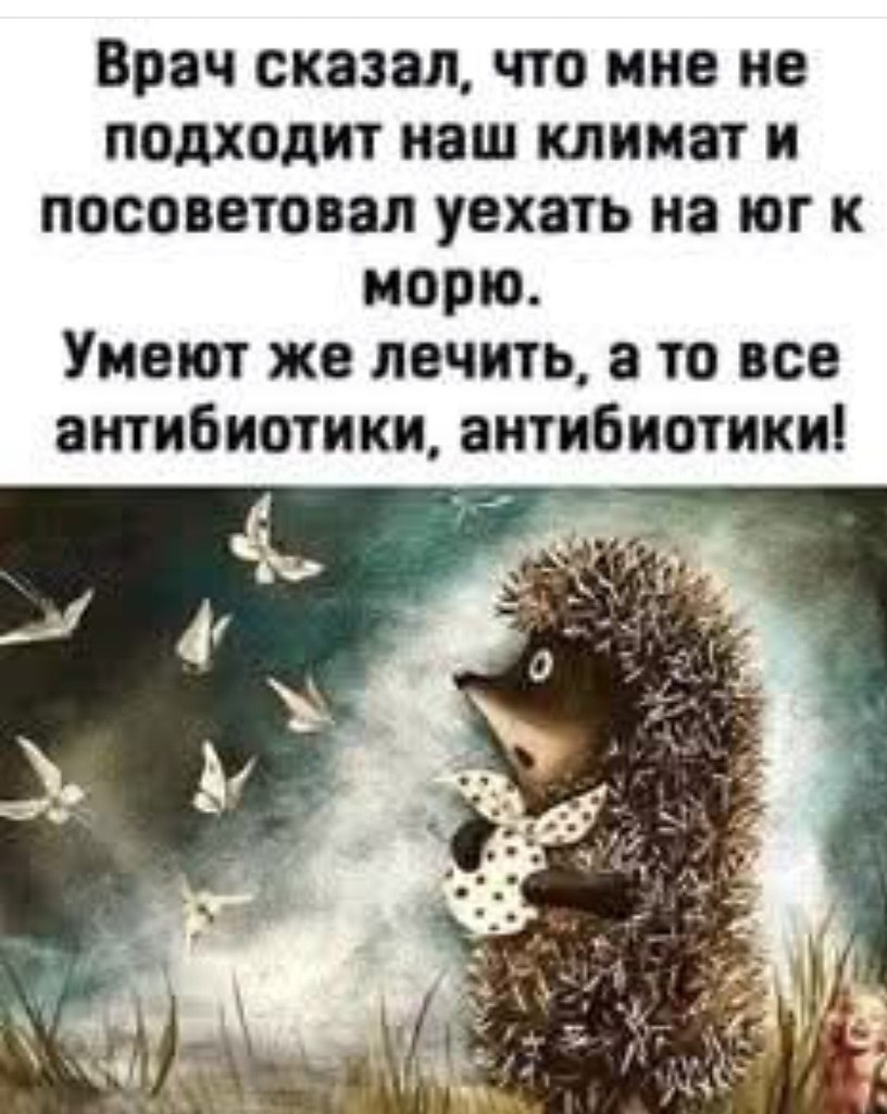   - 14  2025  11:34