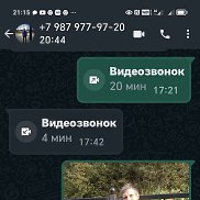 ������, 44 ����, ���������