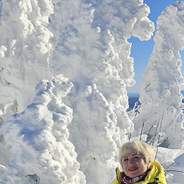 ���������, �����������, 59 ���