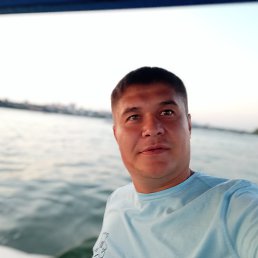 , 37, 