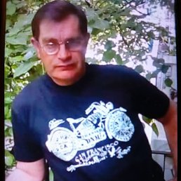 ����, 54 ����, ���������