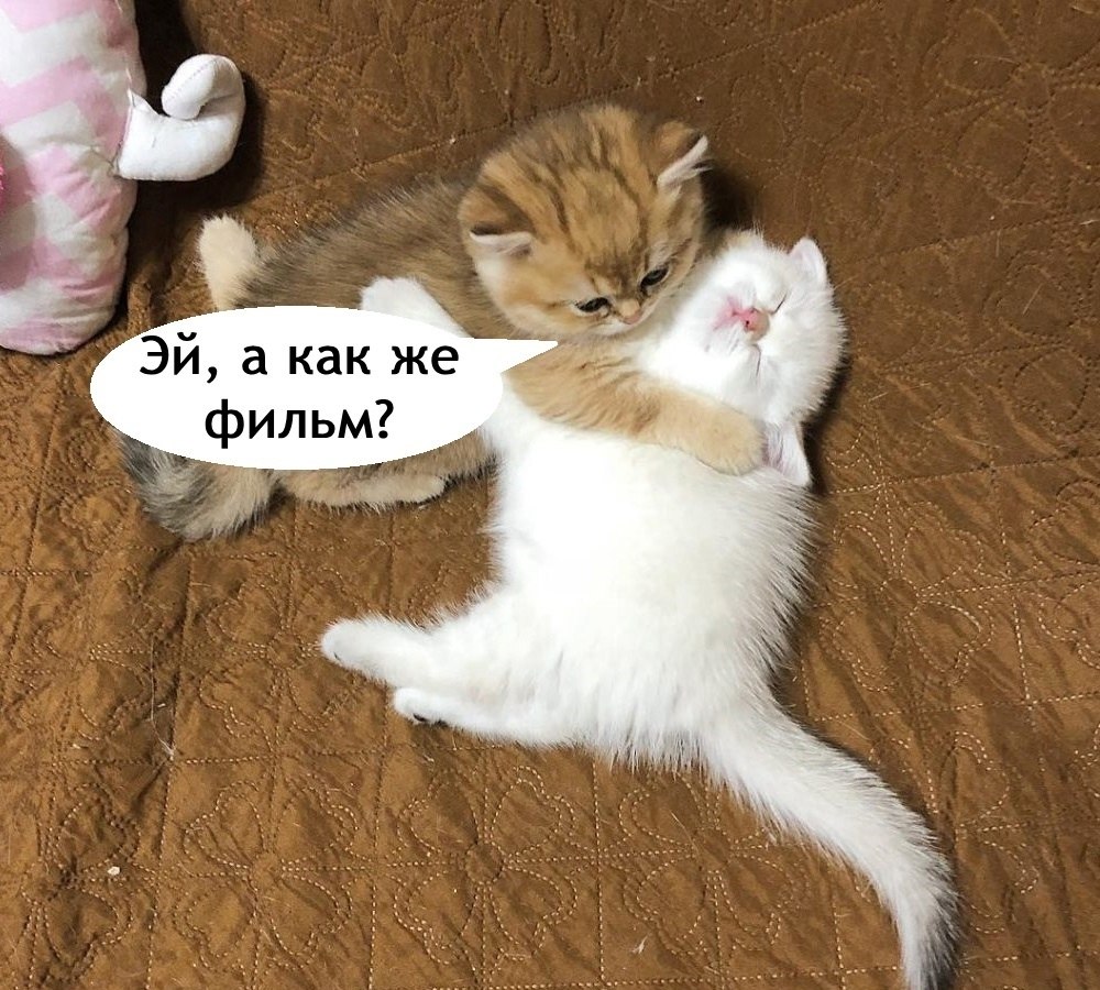 ?