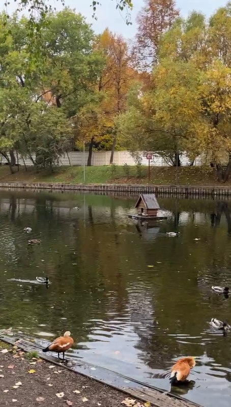 завтра по прогнозу дождь со снегом... - 3