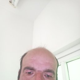  ., 41, 