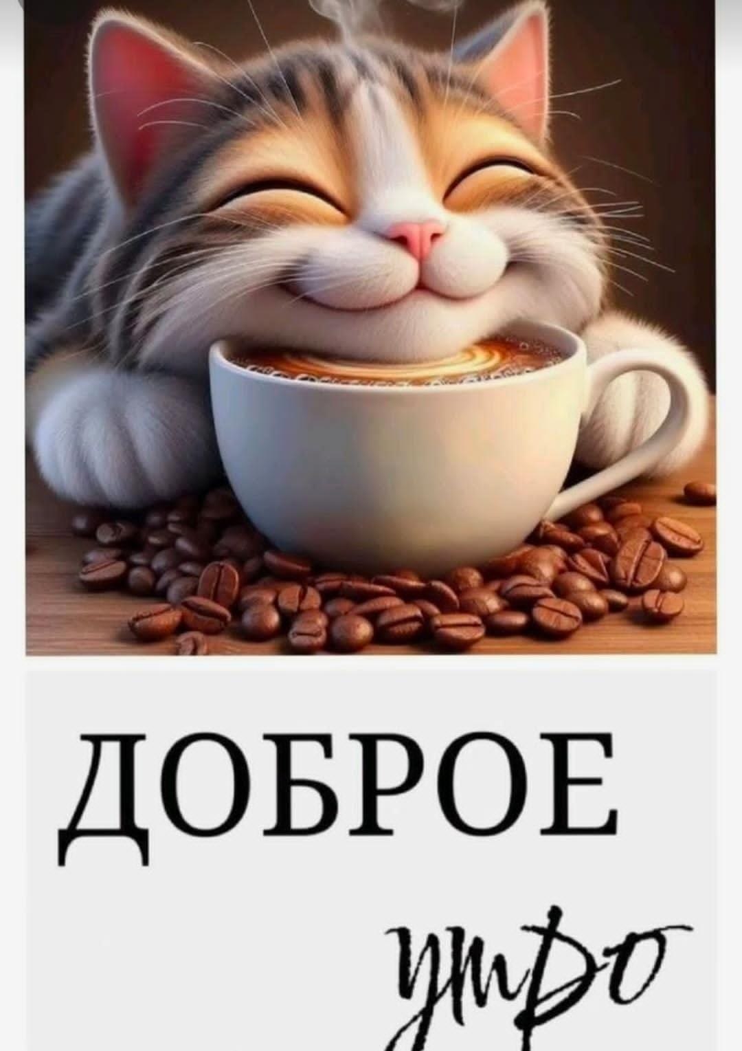 ***Victoria Viktorovna*** - 25  2024  04:00