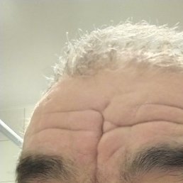 �����, �����-���������, 65 ���