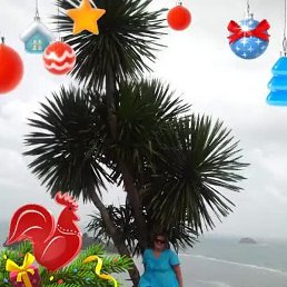 �������, ������, 51 ���