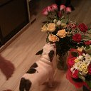 ���� �������, ���������, 65 ��� - ��������� 13 ������ 2025 � ������ ������ ��������
