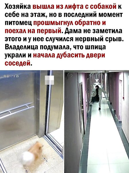   - 2