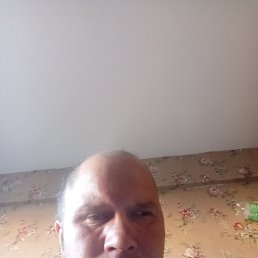  , 43, 