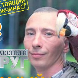 ������, ������, 47 ���