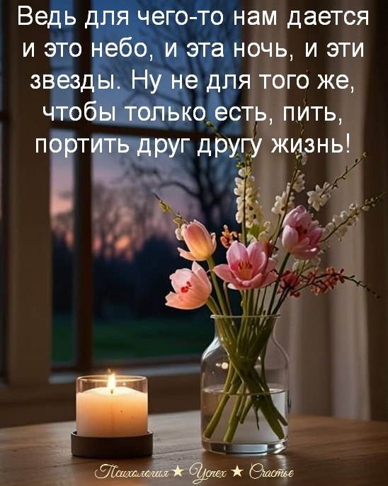 �������� ������ - 28 ��� 2026 � 21:36