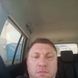, 44, 