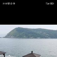 , 54 , 