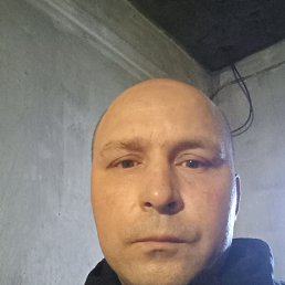 , 41 , 