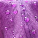 ���� ������, ���� - ��������� 16 ��� 2025 � ������ ��������� ����...�