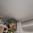 ���� �����, ������, 41 ��� - ��������� 23 ������� 2024 � ������ ���� ����������