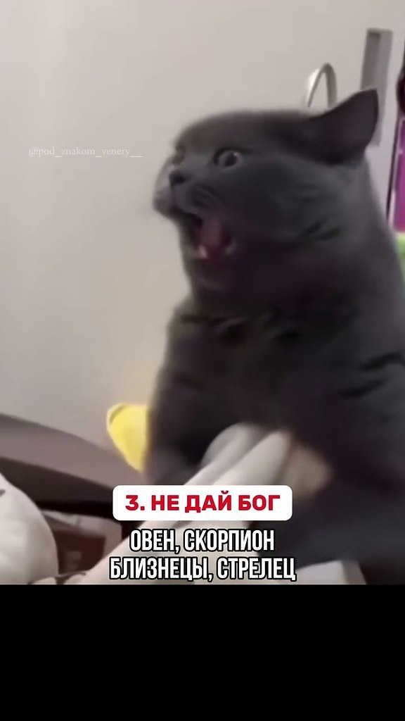      . ? - 2