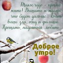 ���� Zulfia, ������, 44 ���� - ��������� 28 ������� 2023 � ������ ���� ����������