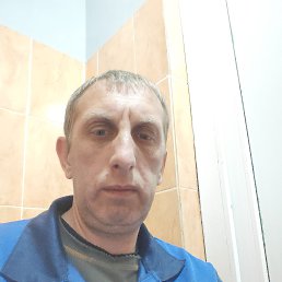  , 44, 
