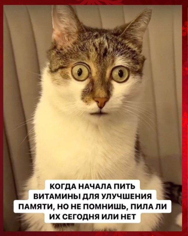   - 26  2025  19:22