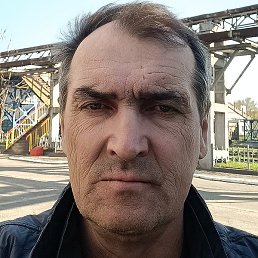 , , 56 