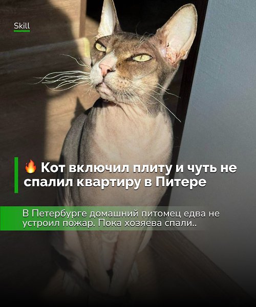 История с хэппи-эндом, но напоминание серьёзное: техника с сенсорным управлением небезопасна для ...