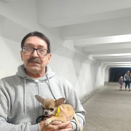 , 65, 