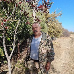 ���������, �����, 61 ���