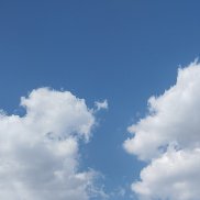 ��������, 19 ���, �������