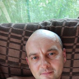 , 37, 