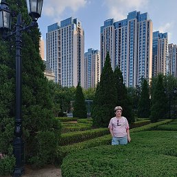 ������, ���������