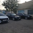 ���� Behzod, �����-���������, 27 ��� - ��������� 15 ��� 2026
