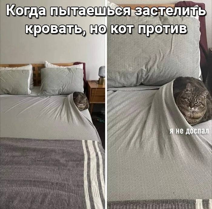    - 9  2024  23:15