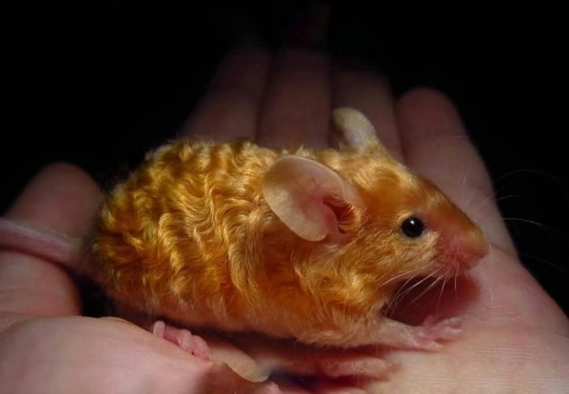 :) ��������: �������� ����! ��������! �����! ���� ����� �������� � ���� ����� ��������� ������� � ...