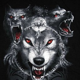 �������, ���������, 37 ���