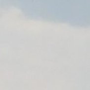 �����, 58 ���, ������������