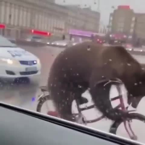  e  occ: ee a e  cpo  o o. 