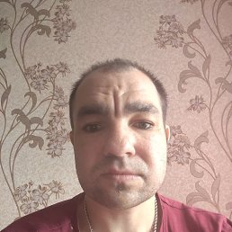 , 29,  