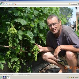 ������, ����, 77 ���