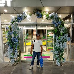 , 33, 