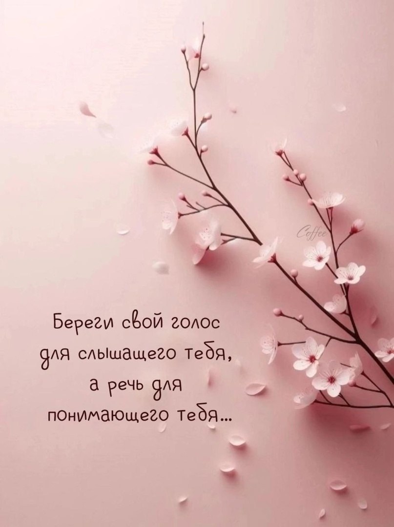  - 23  2025  15:33