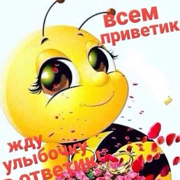 ���� ���, �������� - ��������� 27 ������� 2026