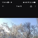 ���� ������, �����, 60 ��� - ��������� 1 �������� 2026 � ������ ���� ����������