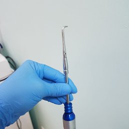 ���� �����, ������, 42 ���� - ��������� 30 ������� 2023