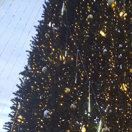 �����, ���������, 53 ����