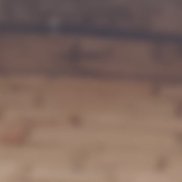 ��������, 21 ���, ���������