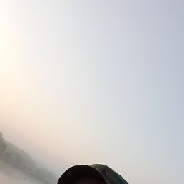 , 29, 