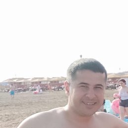 , 42, 