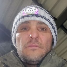 ����, ������, 41 ���